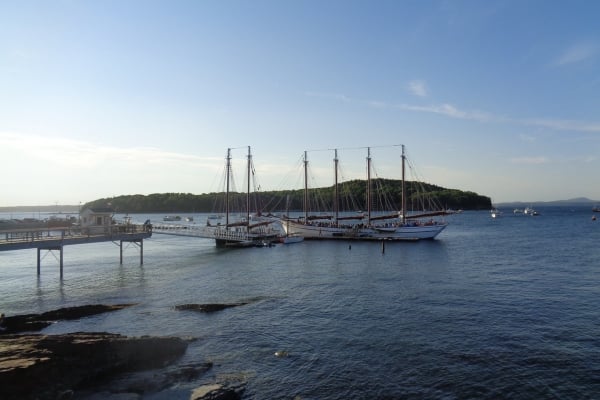 Maine Coast: Purely Acadia