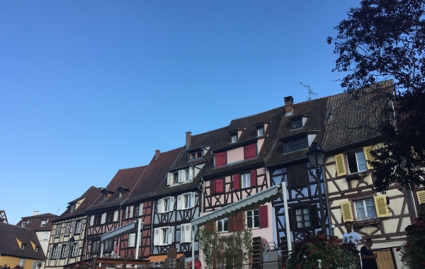 Alsace & The Black Forest: La Route Des Vins