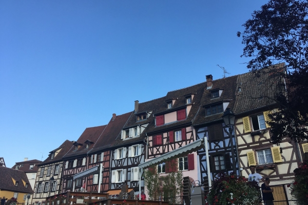 Alsace & The Black Forest: La Route Des Vins