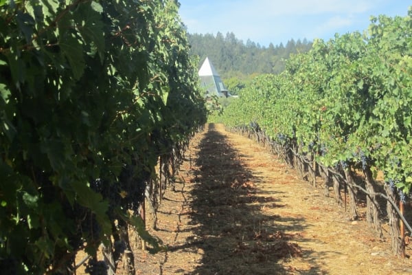 California Wine Country & the Coast