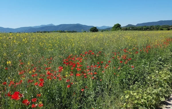 Spain’s Costa Brava: Cycling Dali’s Landscapes