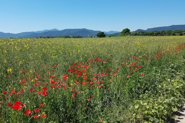 Spain’s Costa Brava: Cycling Dali’s Landscapes