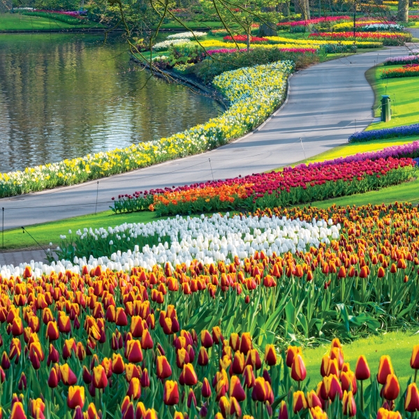 Rhine Bike & River Cruise: Basel to Amsterdam 3