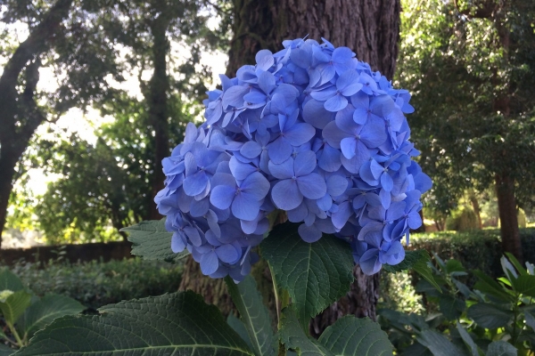 Pathways of Portugal: Walking the Douro Valley