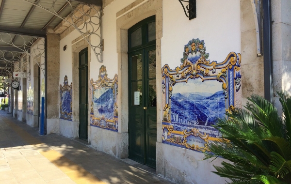 Pathways of Portugal: Walking the Douro Valley