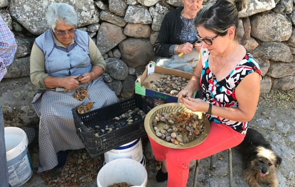 Pathways of Portugal: Walking the Douro Valley