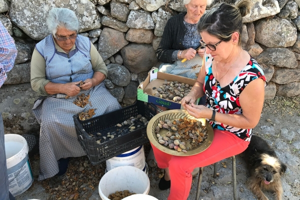 Pathways of Portugal: Walking the Douro Valley