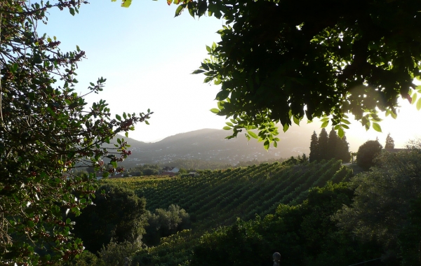 Pathways of Portugal: Walking the Douro Valley