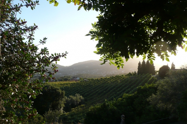 Pathways of Portugal: Walking the Douro Valley