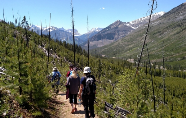 Walk the Canadian Rockies: Banff & Yoho National Park