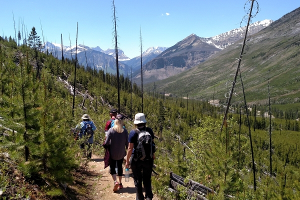 Walk the Canadian Rockies: Banff & Yoho National Park