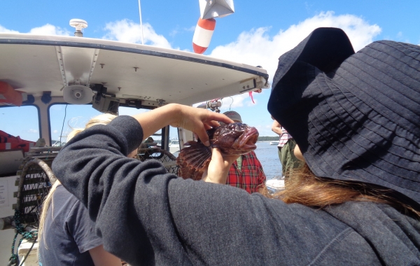 Charleston to Savannah: A Southern Reel
