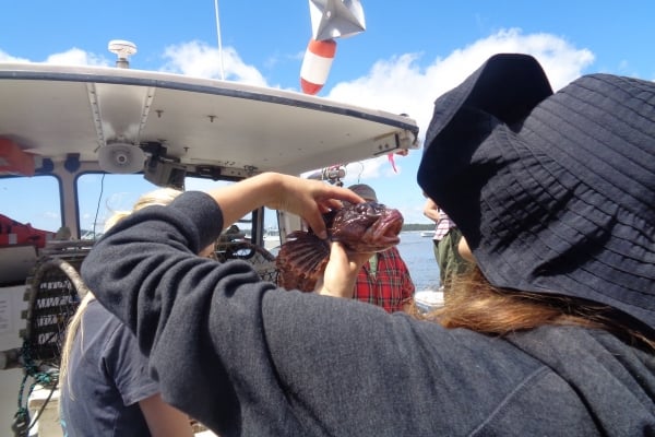 Charleston to Savannah: A Southern Reel