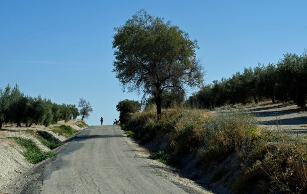 Spain: Under the Andalusian Sky