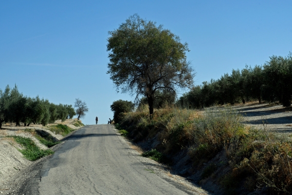 Spain: Under the Andalusian Sky
