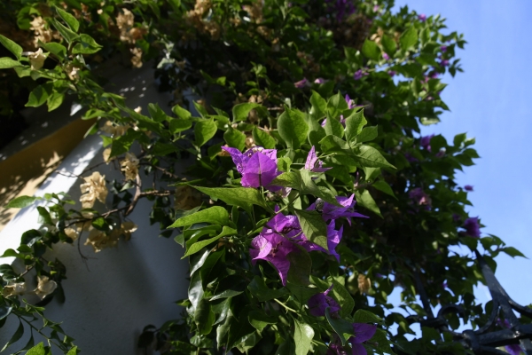 Spain: Under the Andalusian Sky