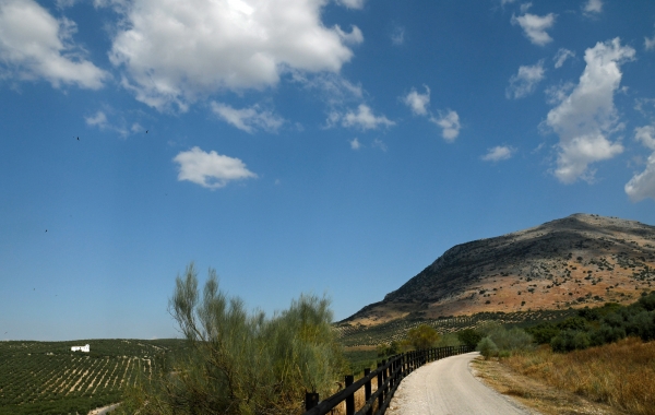 Spain: Under the Andalusian Sky