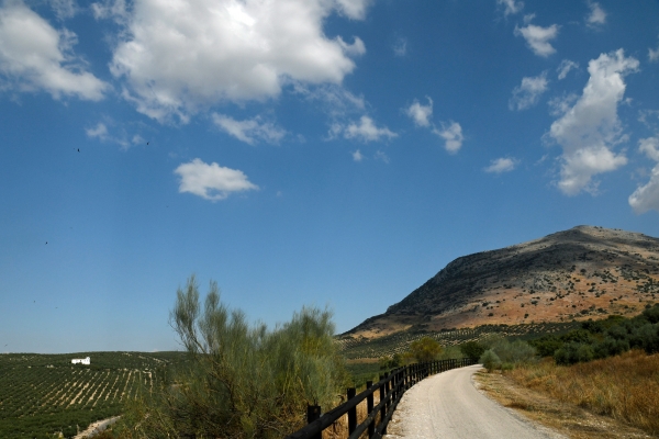 Spain: Under the Andalusian Sky