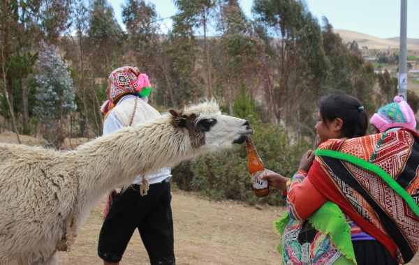 Peru: Machu Picchu & The Sacred Valley