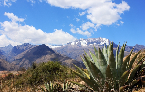 Peru: Machu Picchu & The Sacred Valley