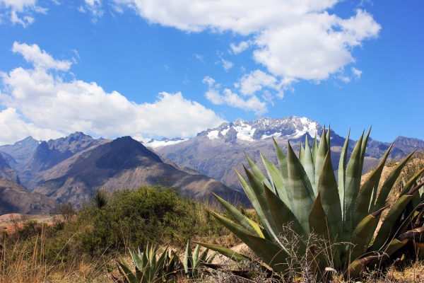 Peru: Machu Picchu & The Sacred Valley