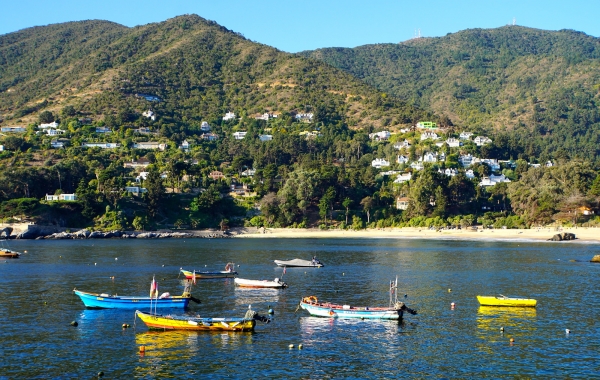Chile’s Coastal Vistas and Vineyards