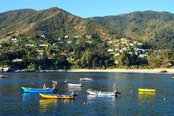 Chile’s Coastal Vistas and Vineyards
