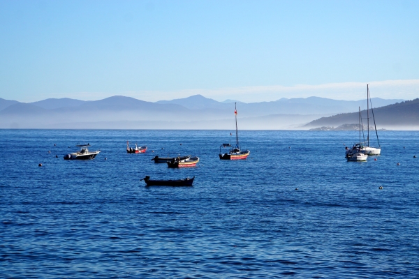 Chile’s Coastal Vistas and Vineyards