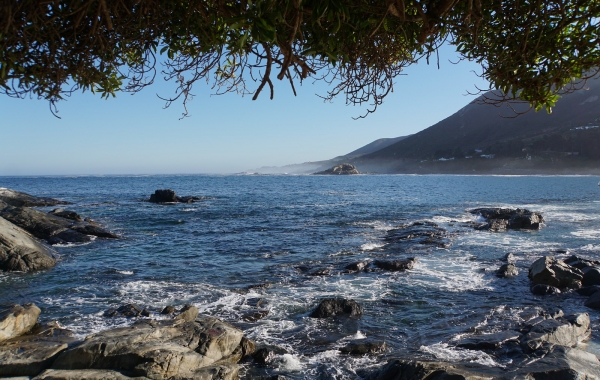 Chile’s Coastal Vistas and Vineyards