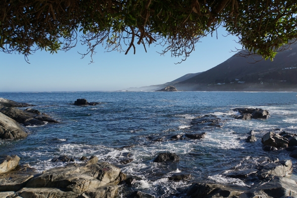 Chile’s Coastal Vistas and Vineyards