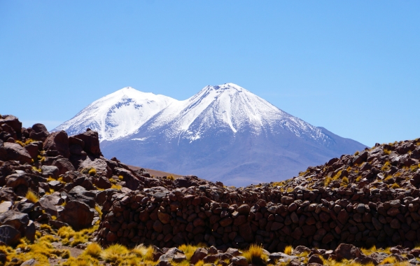 Chile’s Coastal Vistas and Vineyards