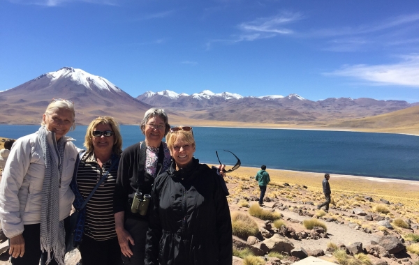 Chile’s Coastal Vistas and Vineyards