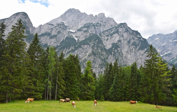 Slovenia, Austria & Italy