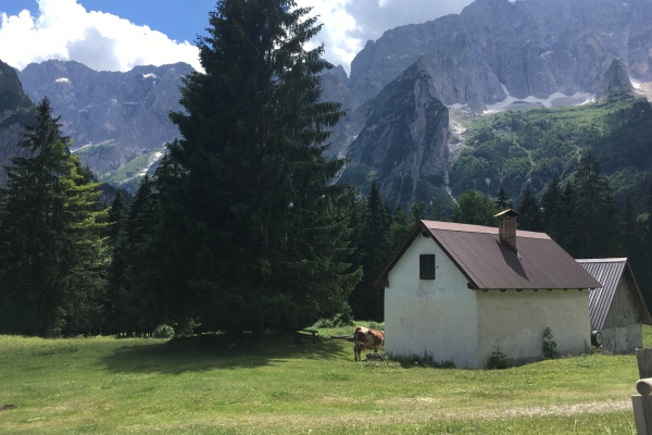 Slovenia, Austria & Italy