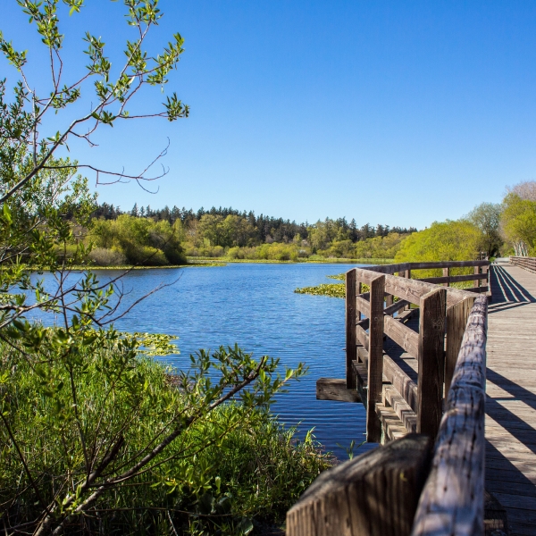 British Columbia: Vancouver Island & the Gulf Islands 7