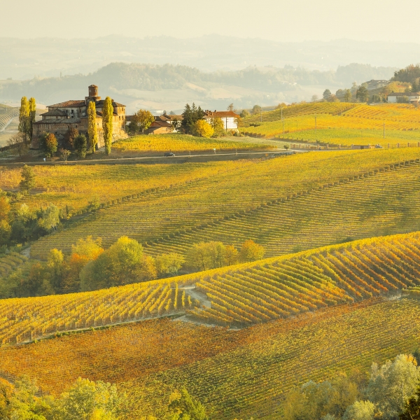 Italy: Piedmont, Langhe & the Italian Riviera 2