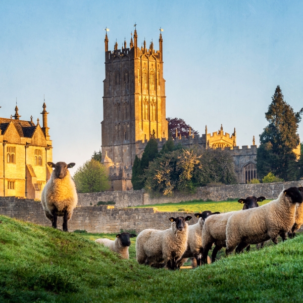 England: Bath & the Cotswolds 11