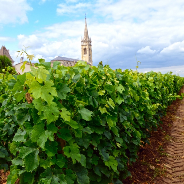 France: Bordeaux to La Rochelle 10