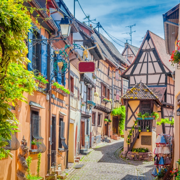 Rhine Bike & River Cruise: Basel to Amsterdam