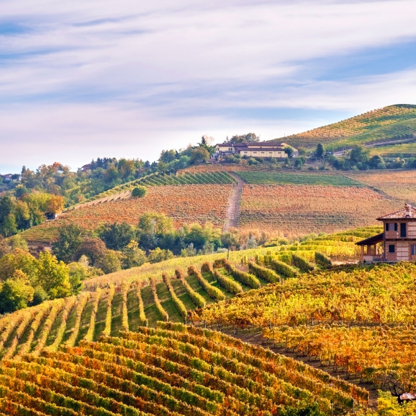 Italy: Piedmont, Langhe & the Italian Riviera 11