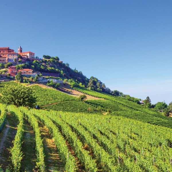 Italy: Piedmont, Langhe & the Italian Riviera 14
