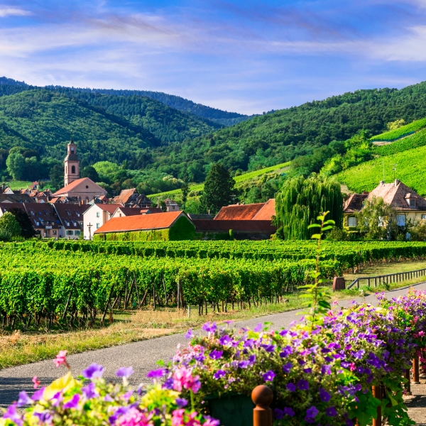 Rhine Bike & River Cruise: Basel to Amsterdam 9