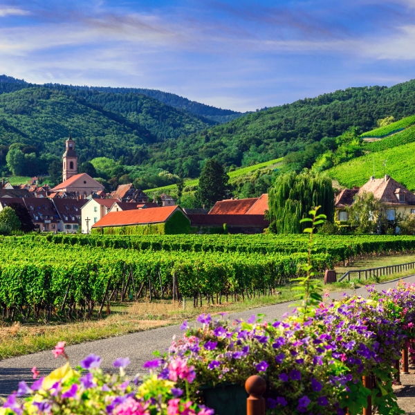 Rhine Bike & River Cruise: Basel to Amsterdam 15