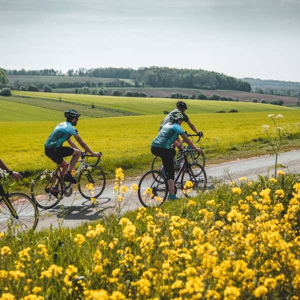 Self-Guided Bicycling Vacations