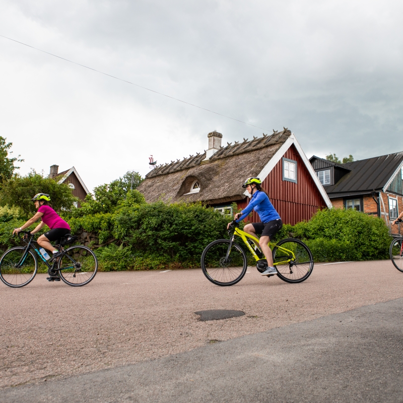 vbt bike tours