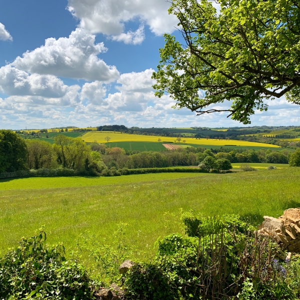 Moreton-in-Marsh-to-Burford_2