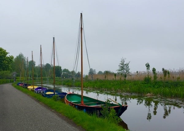 Featured Group Organizer: Sarah