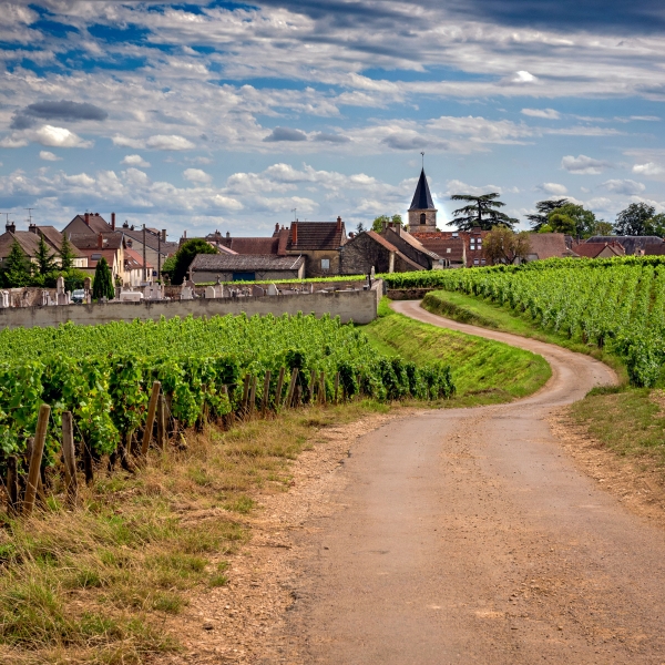 France Bike & River Cruise: Lyon to Nice 13