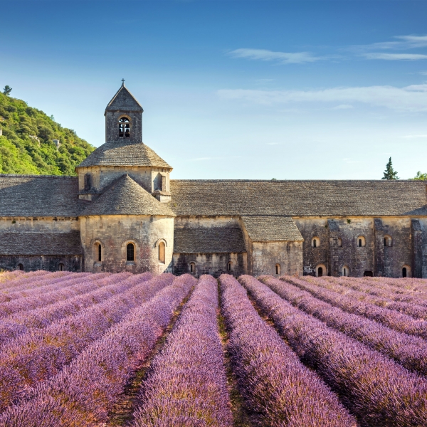 France Bike & River Cruise: Lyon to Nice 20