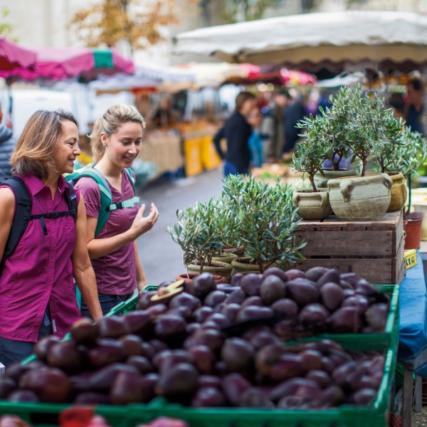 France Bike & River Cruise: Lyon to Nice 22
